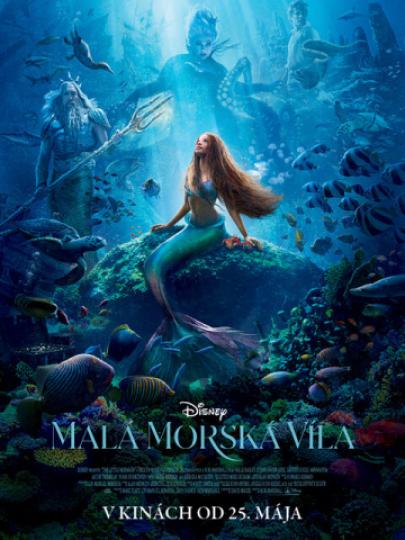Plagát filmu Malá morská víla