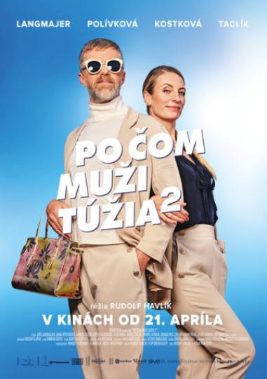 Plagát filmu Po čom muži túžia 2