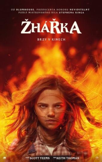 Plagát filmu Podpaľačka