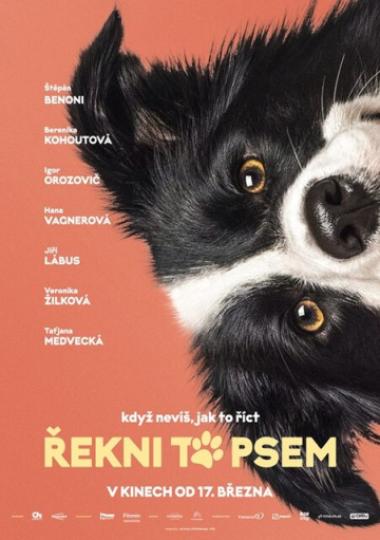 Plagát filmu Povedz to psom