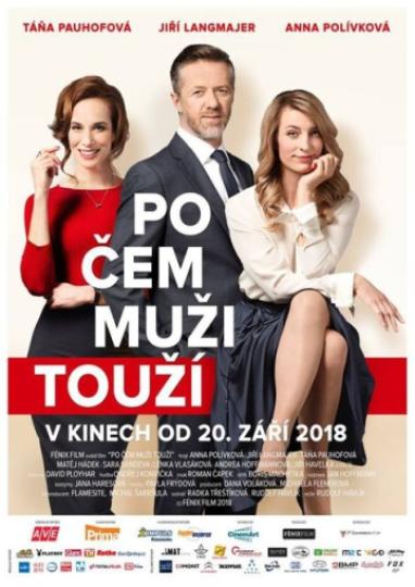 Plagát filmu Po čom muži túžia